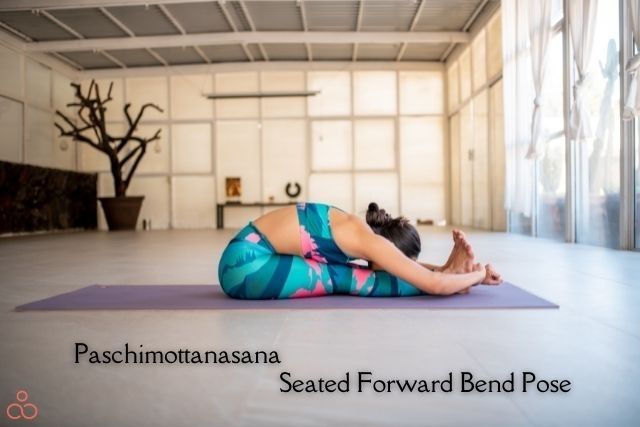 Paschimottanasana-Seated-Forward-Bend-Pose