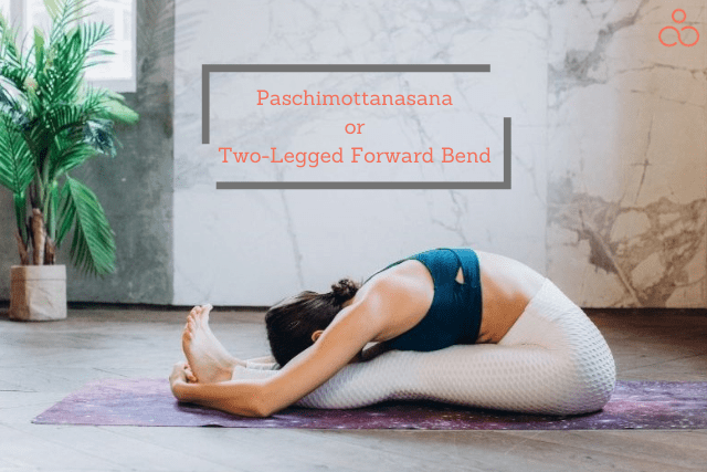 Paschimottanasana-Two-Legged-Forward-Bend