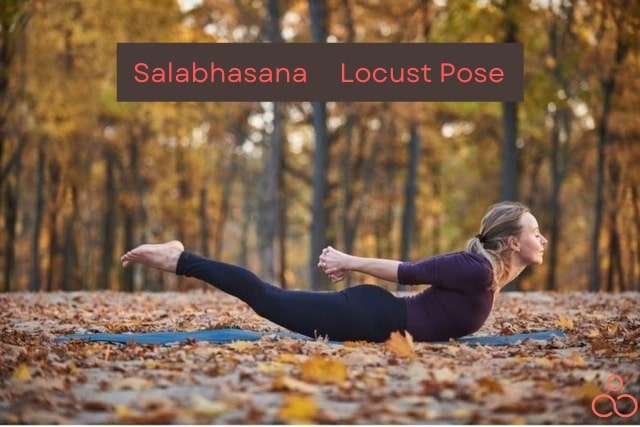 Salabhasana-Locust-Pose
