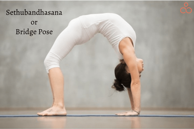 Sethubandhasana-Bridge-Pose