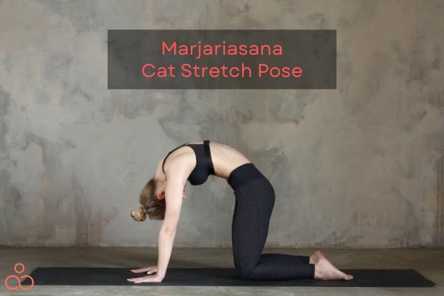 Marjariasana-Cat-Stretch-Pose-1