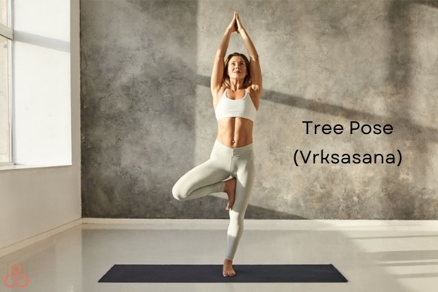 Vrikshasana-Tree-Pose