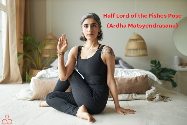 Ardha-Matsyendrasana-Half-Lord-of-the-Fishes-Pose