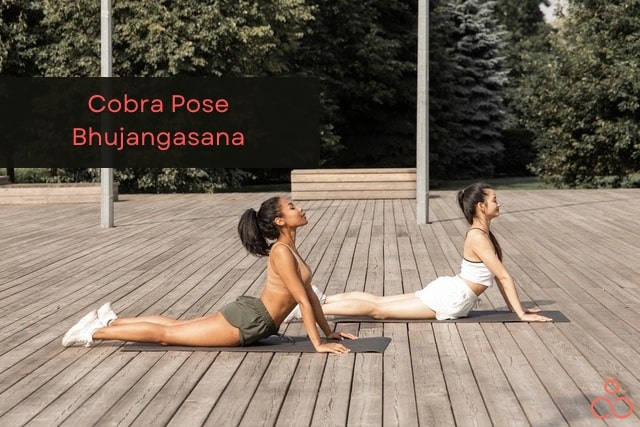 Bhujangasana-Cobra-Pose-2