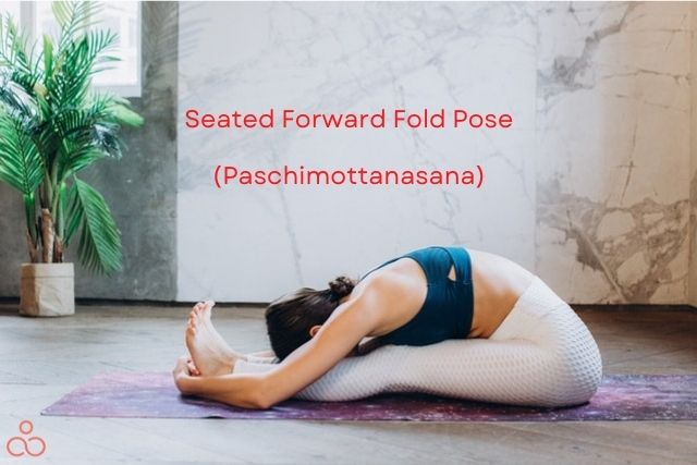 Paschimottanasana-Seated-Forward-Fold-Pose