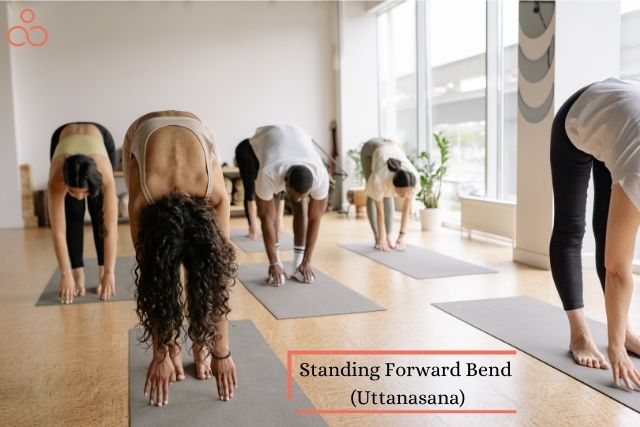 Standing-Forward-Bend-Uttanasana