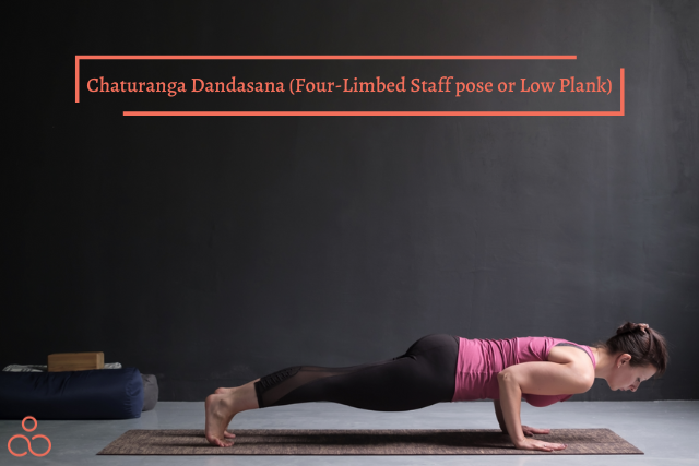 Chaturanga-Dandasana-Four-Limbed-Staff-pose-or-Low-Plank-5