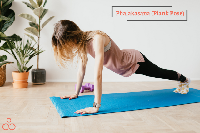 Phalakasana-Plank-Pose